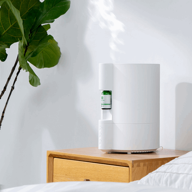 Aroma Diffuser and Humidifier