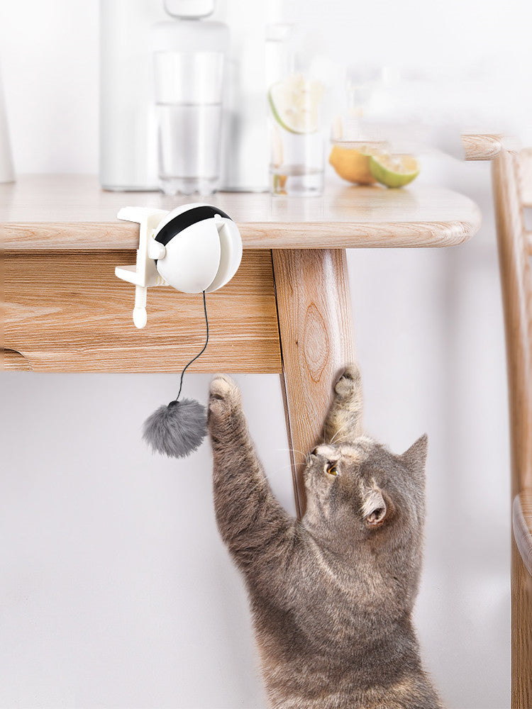 Electric Interactive Cat Toy