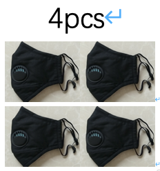 Anti-Dust/Anti-Microbe Mask with Activated Carbon Filter