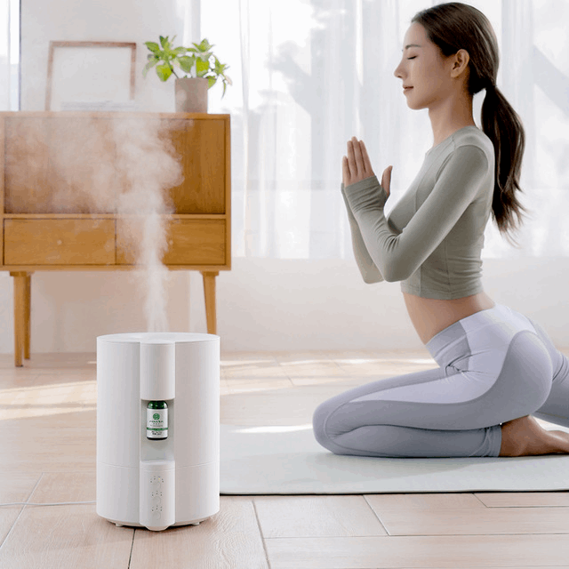 Aroma Diffuser and Humidifier