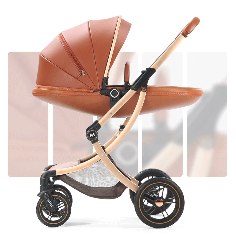 Luxury Baby Stroller with Car Seat
