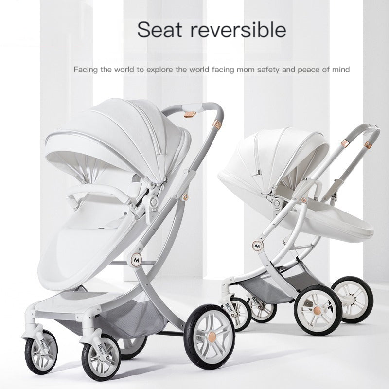 Luxury Baby Stroller with Car Seat