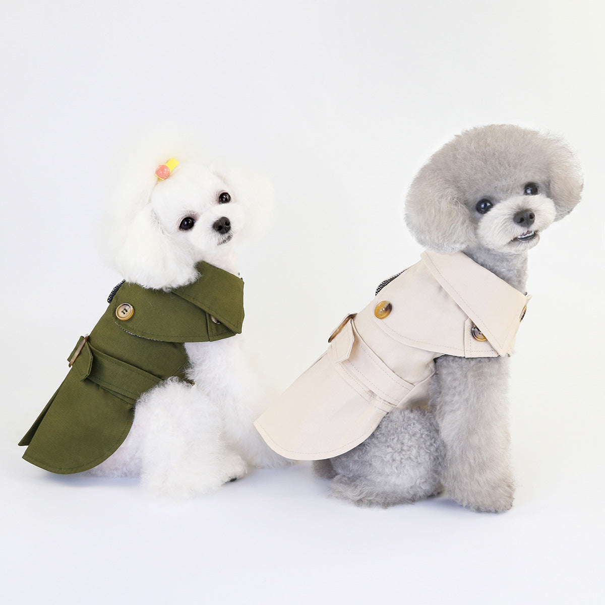 Pets' Clothes