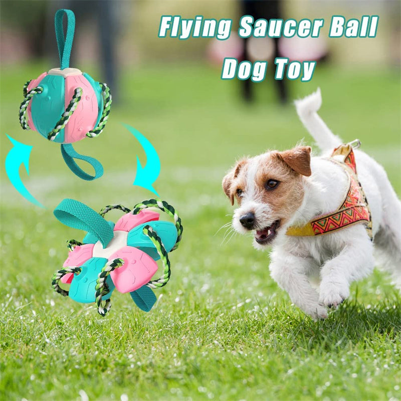 Interactive Dog Football / Training Toy