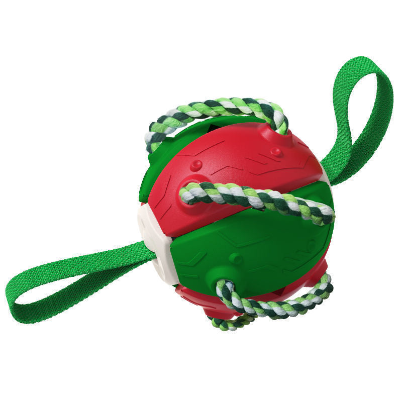 Interactive Dog Football / Training Toy