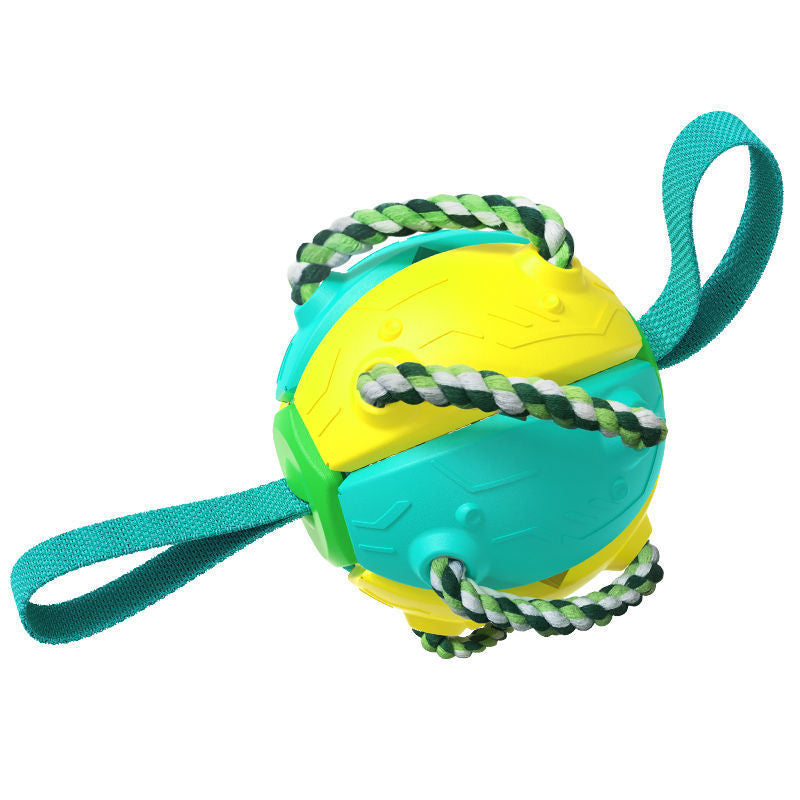 Interactive Dog Football / Training Toy