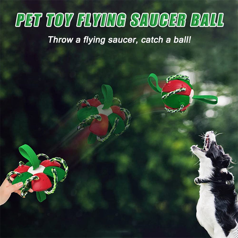 Interactive Dog Football / Training Toy