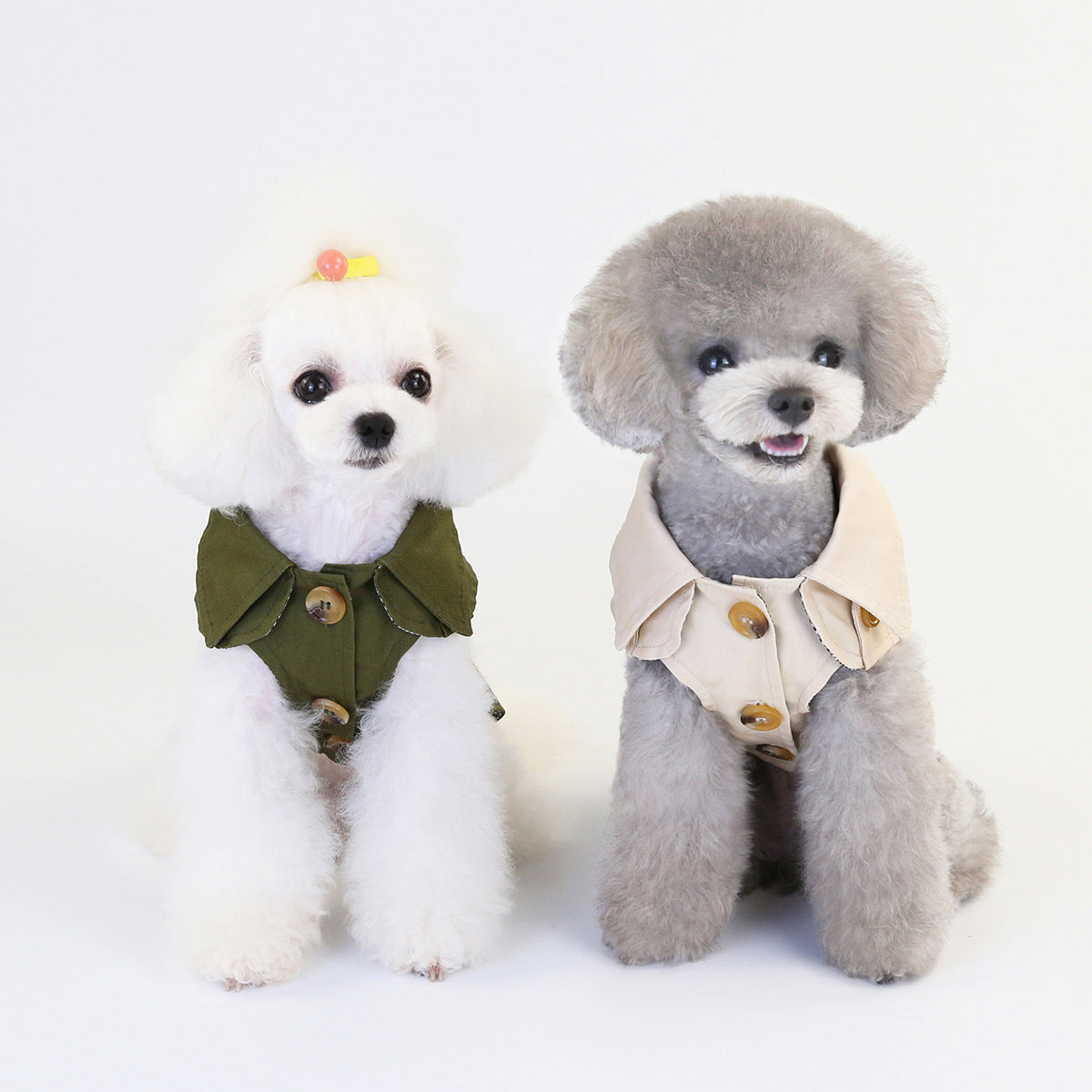 Pets' Clothes