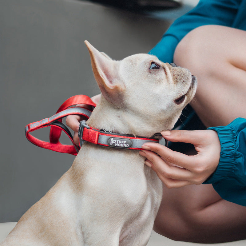 Reflective Dog Collar