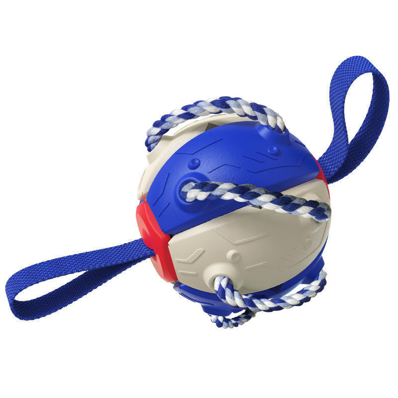 Interactive Dog Football / Training Toy