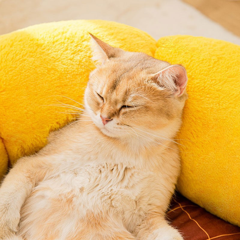 Cat Nest