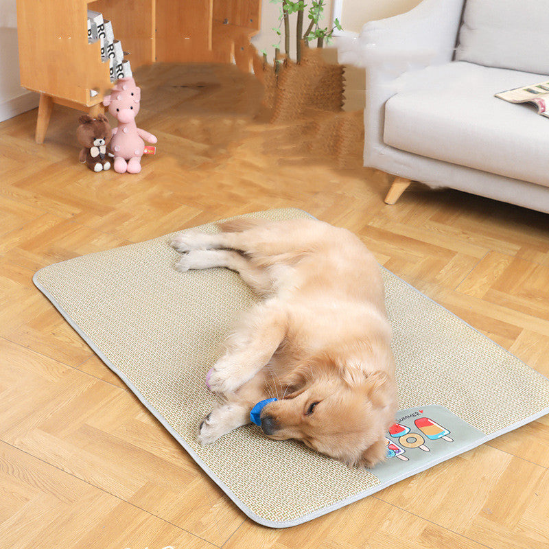 Non-Slippery Pet Mat