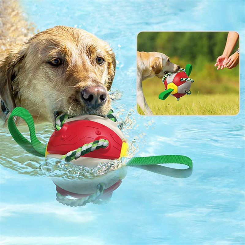 Interactive Dog Football / Training Toy