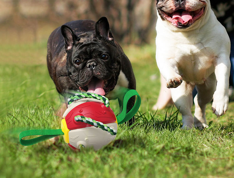 Interactive Dog Football / Training Toy