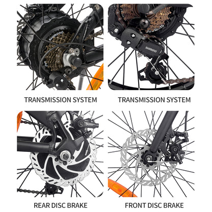 Folding Mountain Electric Bicycle