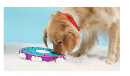 Dog Puzzle Toy