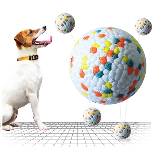 Pet Interactive Training Ball