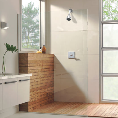 Wall-Mounted Adjustable Shower Head with 2-Spray Settings