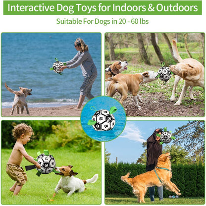 Pet Interactive Football Toy