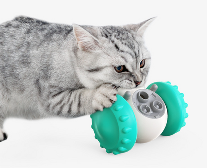 Pet Toy
