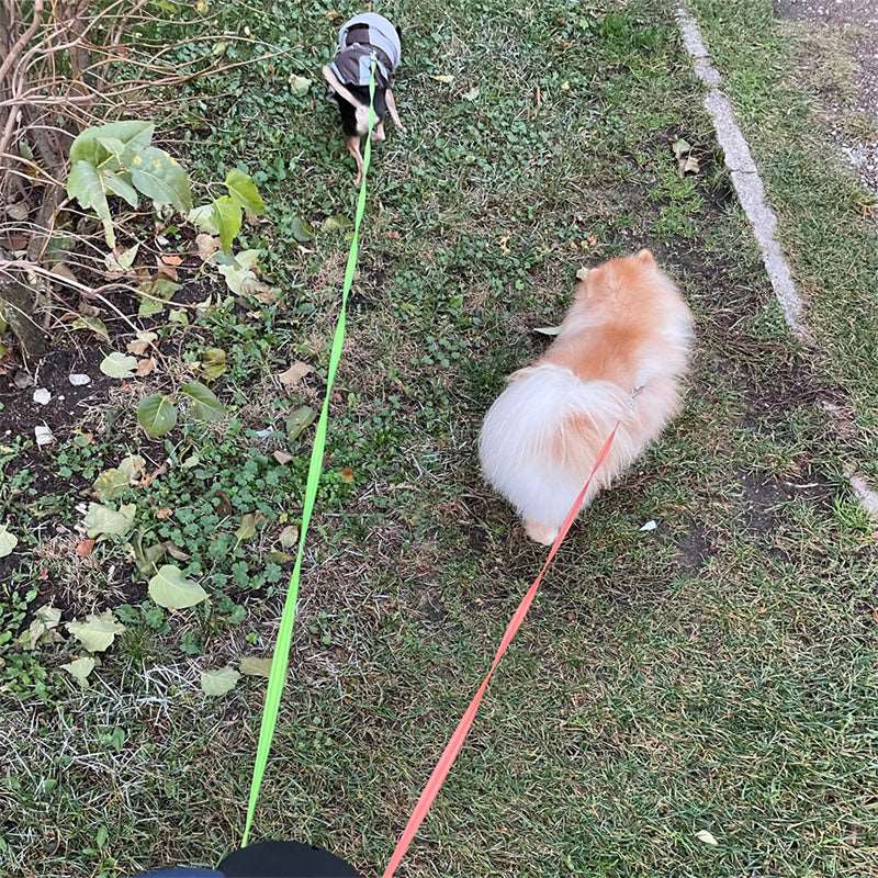 Reflective Dual Pet Leash