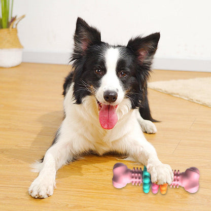 Dog Toy Bone