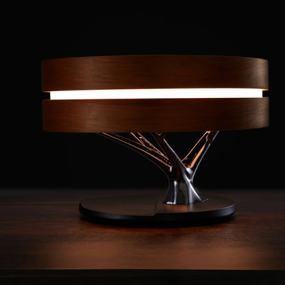 Bluetooth Speaker with Lamp / Wireless Charging LED Light