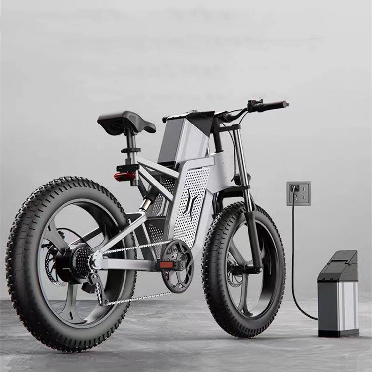 Electric Mountain Bicycle