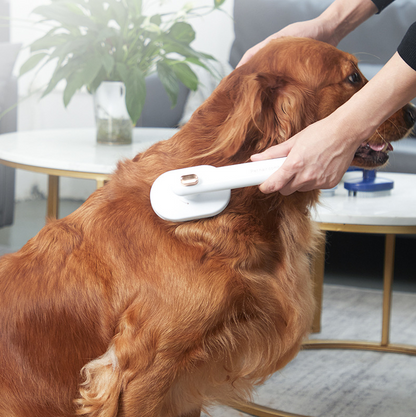 Pet Hair Remover