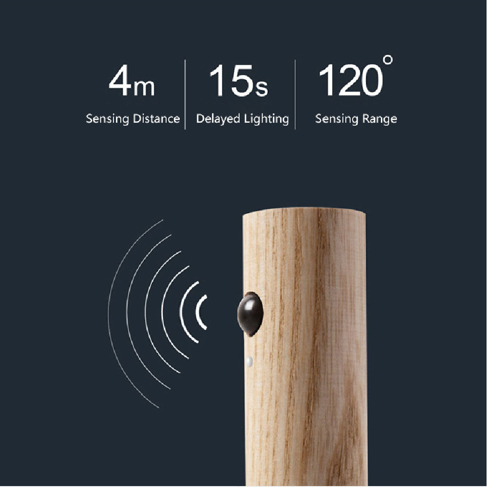 Motion Sensor LED Light
