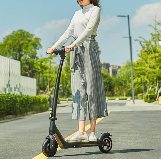 Foldable Electric Scooter