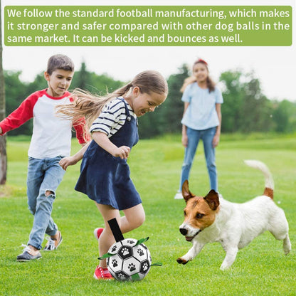 Pet Interactive Football Toy