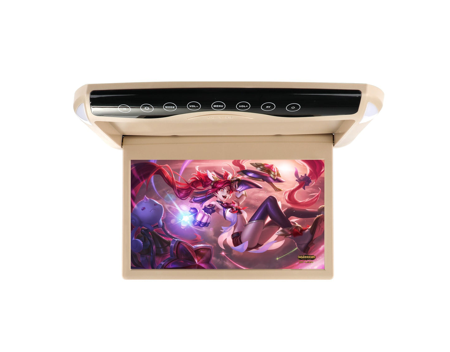 Car Ceiling HD Monitor