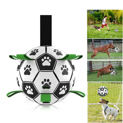 Pet Interactive Football Toy