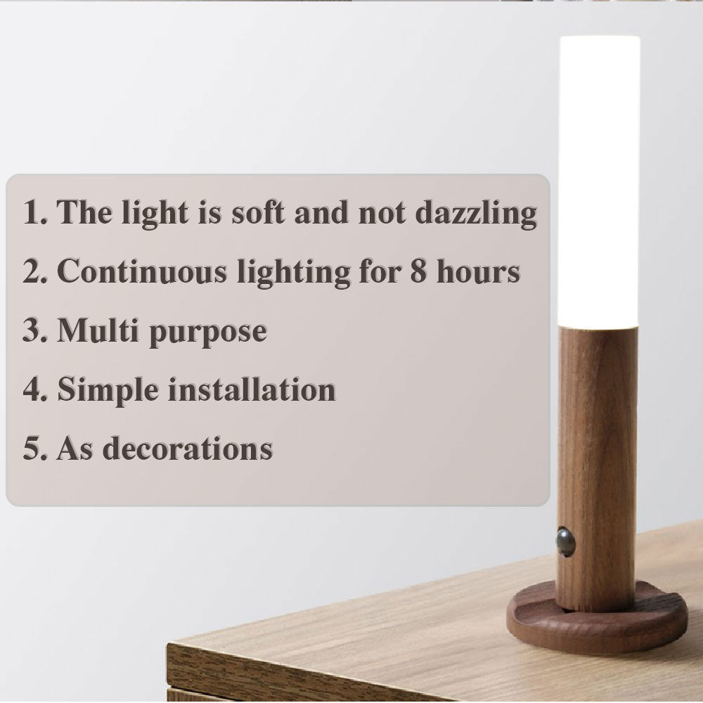 Motion Sensor LED Light