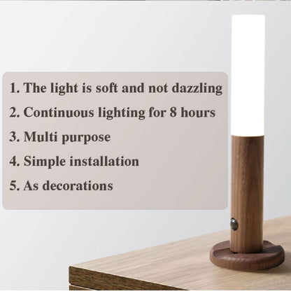 Motion Sensor LED Light