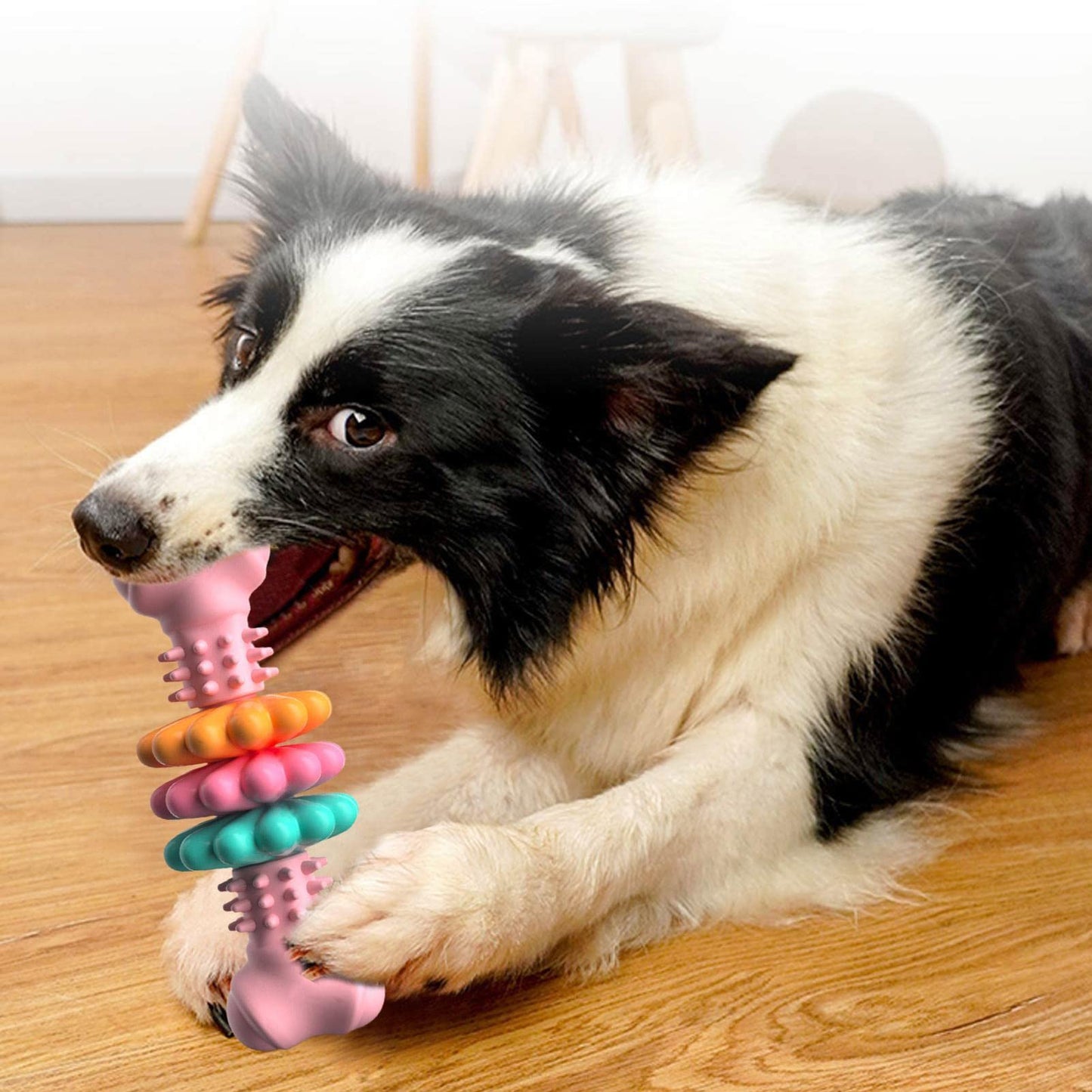 Dog Toy Bone