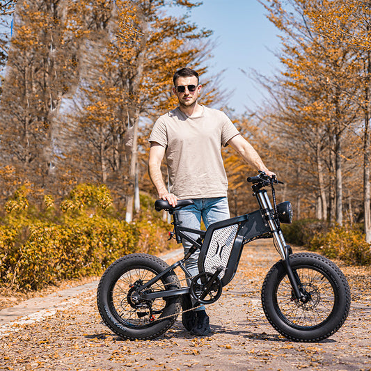 Electric Mountain Bicycle