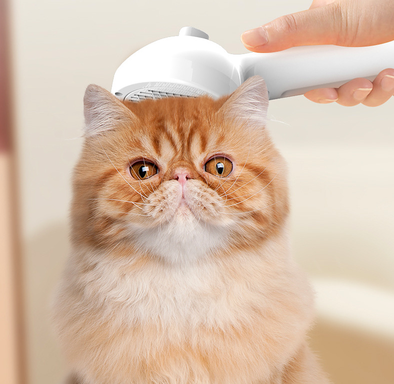 Pets' Hair Remover Brush for Grooming with Built-in Mist Humidifier