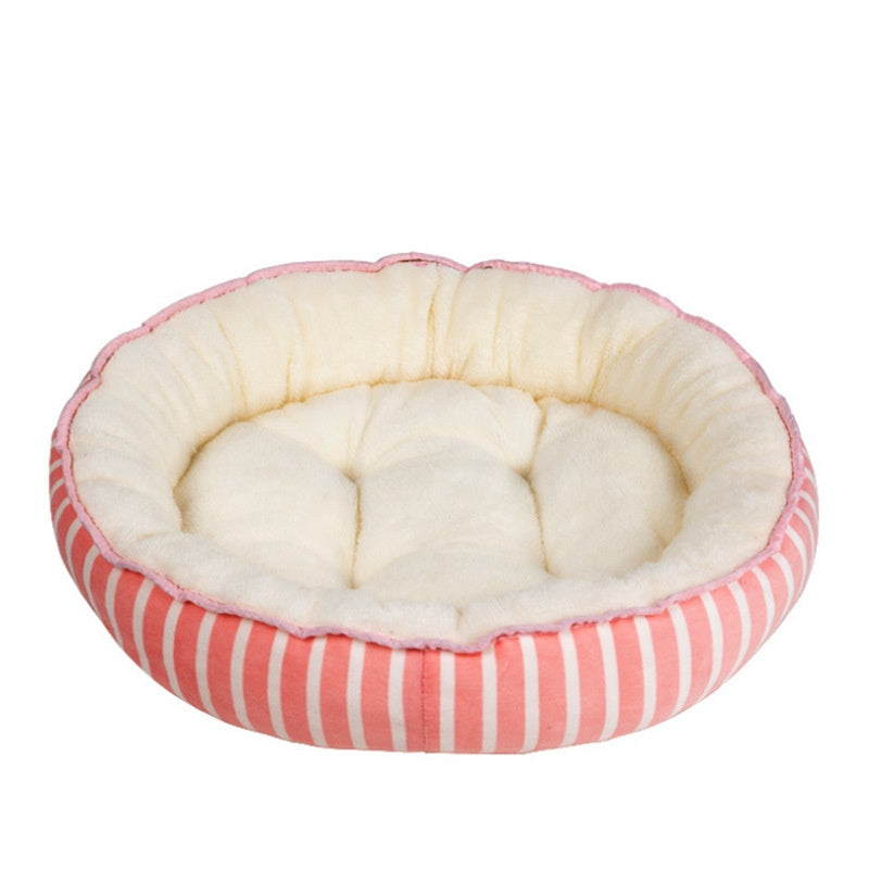 Removable Mat for Pets