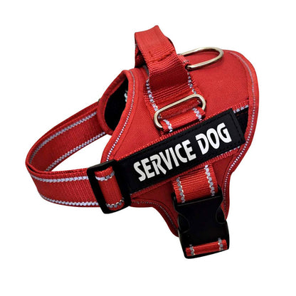 Pet Chest Strap