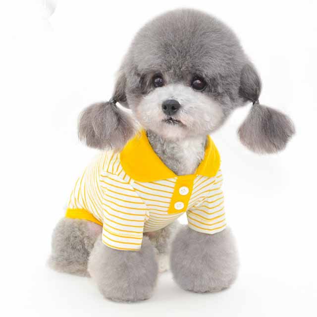 Pets' Dress