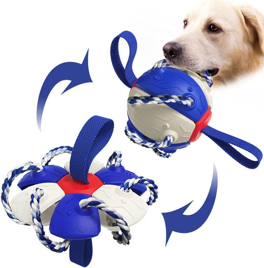 Interactive Dog Football / Training Toy