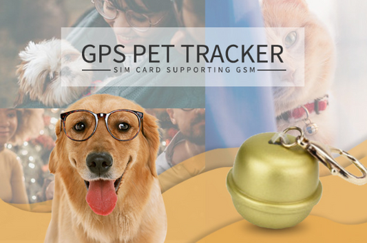 GPS Pet Tracker
