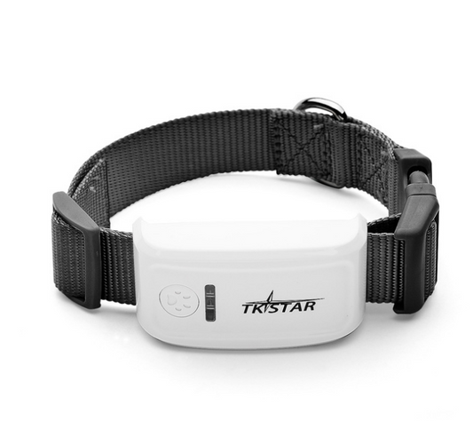 GPS Pet Locator