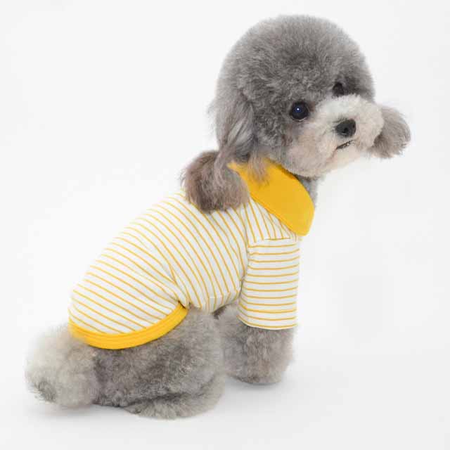 Pets' Dress