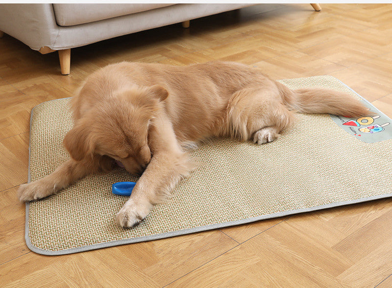 Non-Slippery Pet Mat