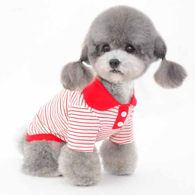Pets' Dress