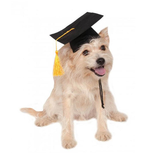 Pet Graduation Cap
