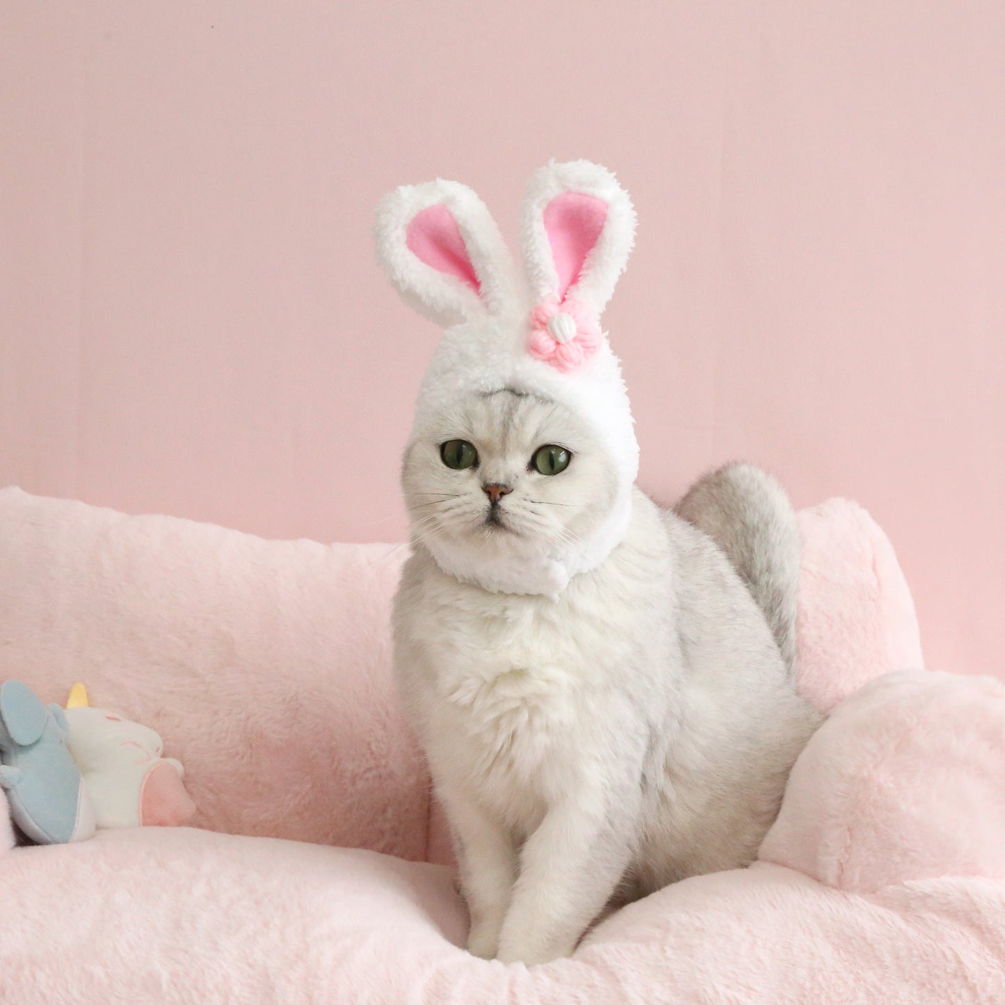 Plush Rabbit Ears for Pets